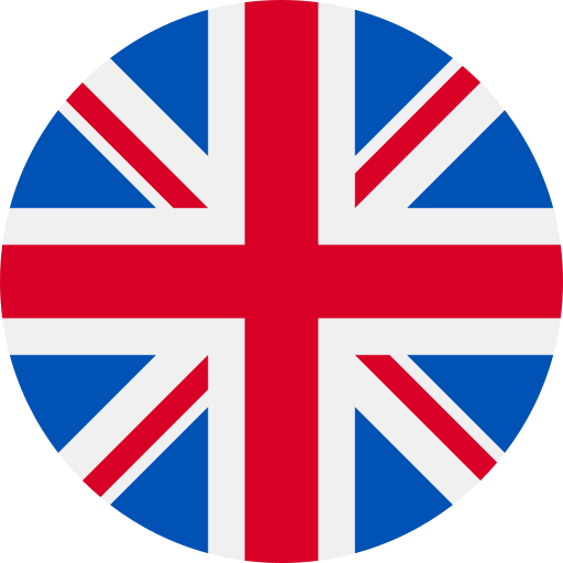 Current language flag